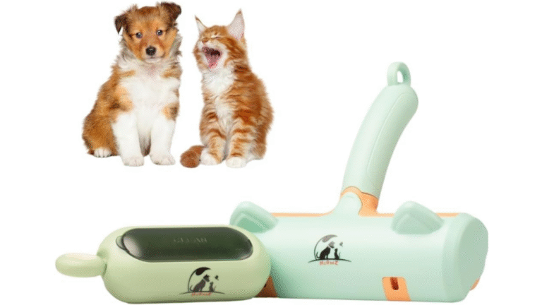 Cat and dog hair remover tool cleaning fur from sofa and carpet