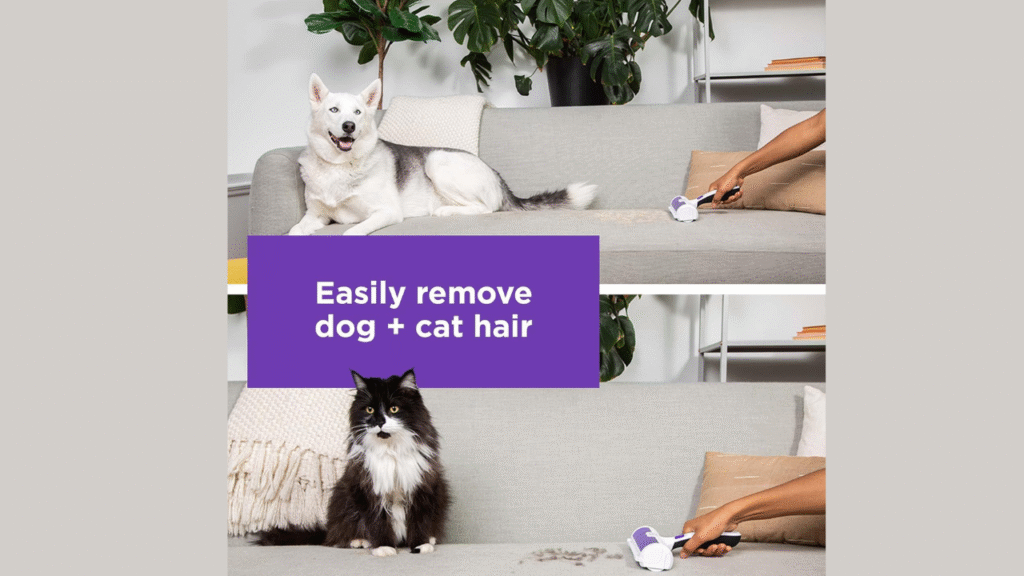 cleaning pet hair from sofa with BLACK+DECKER Pet Hair Remover.”