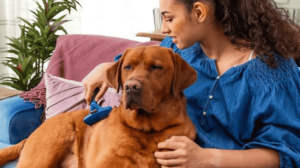 “Dog enjoying grooming with FURminator Undercoat Deshedding Tool in a relaxed pose.”