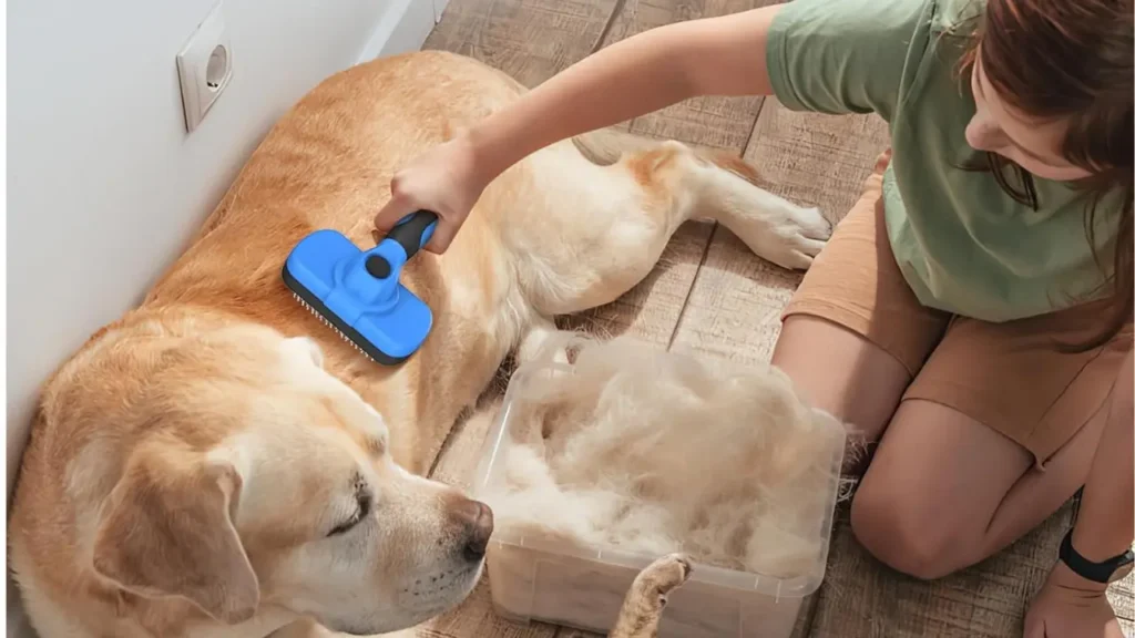 The Ultimate Guide to Cleaning Slicker Brush for Happy, Healthy Pets.