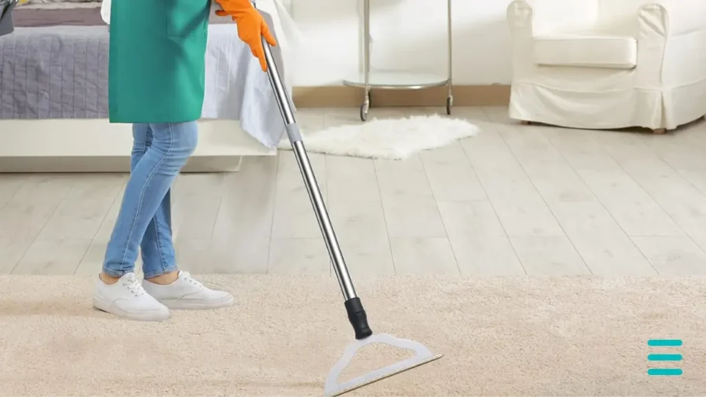 GOSEDER Carpet Rake Review: The Tool That Transformed My Carpet Cleaning.